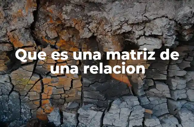 Que es una Matriz de una Relacion