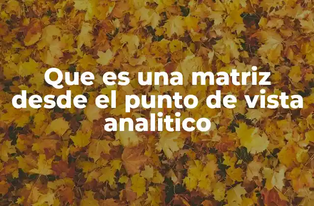 Que es una Matriz desde el Punto de Vista Analitico