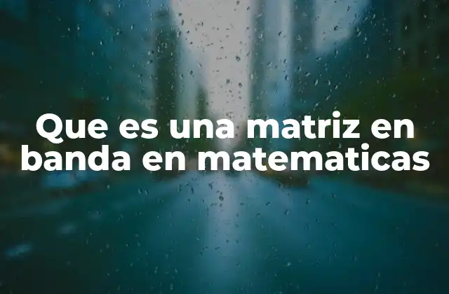 Que es una Matriz en Banda en Matematicas