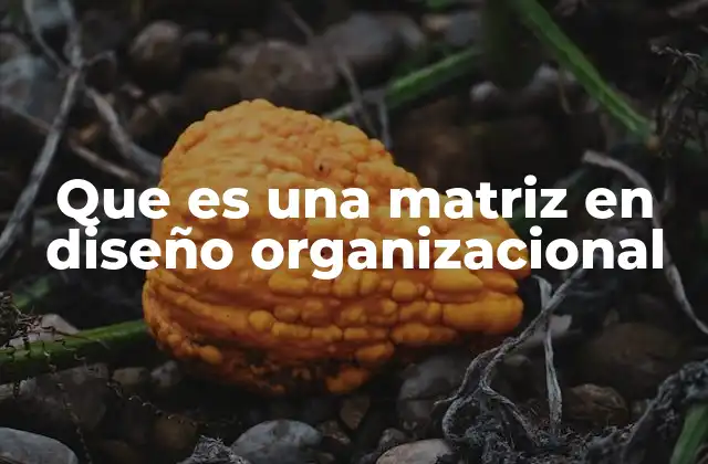 Que es una Matriz en Diseño Organizacional