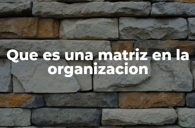 Que es una Matriz en la Organizacion