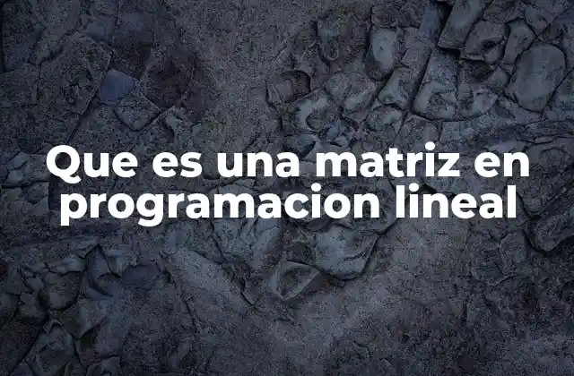 Que es una Matriz en Programacion Lineal