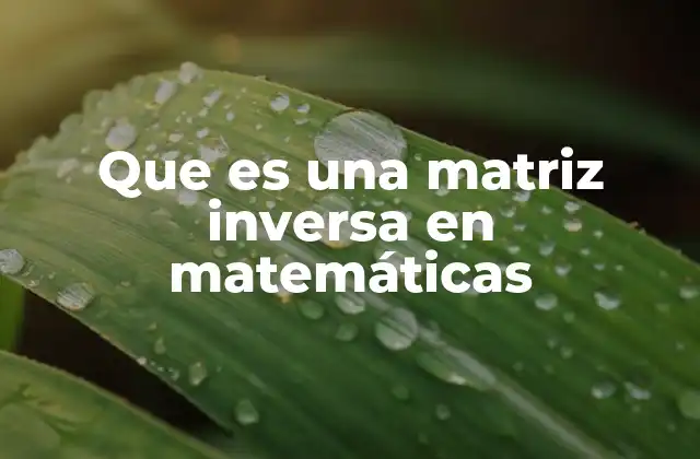 Que es una Matriz Inversa en Matemáticas