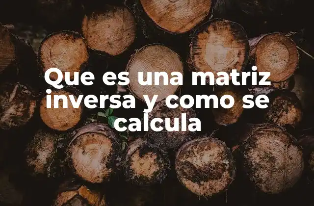 Que es una Matriz Inversa y como Se Calcula
