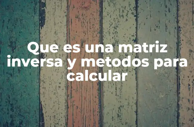 Que es una Matriz Inversa y Metodos para Calcular