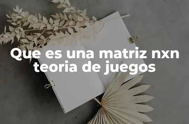 Que es una Matriz Nxn Teoria de Juegos