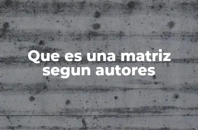 Que es una Matriz Segun Autores