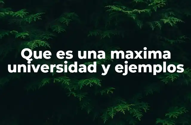 Que es una Maxima Universidad y Ejemplos