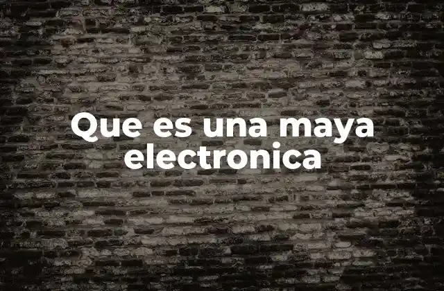 Que es una Maya Electronica
