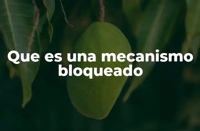 Que es una Mecanismo Bloqueado 2 Causas comunes detrás de un mecanismo bloqueado