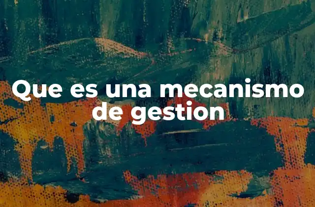 Que es una Mecanismo de Gestion