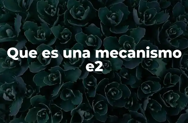 Que es una Mecanismo E2