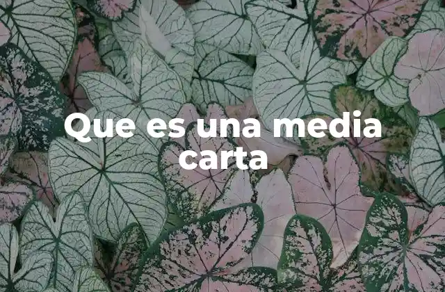 Que es una Media Carta