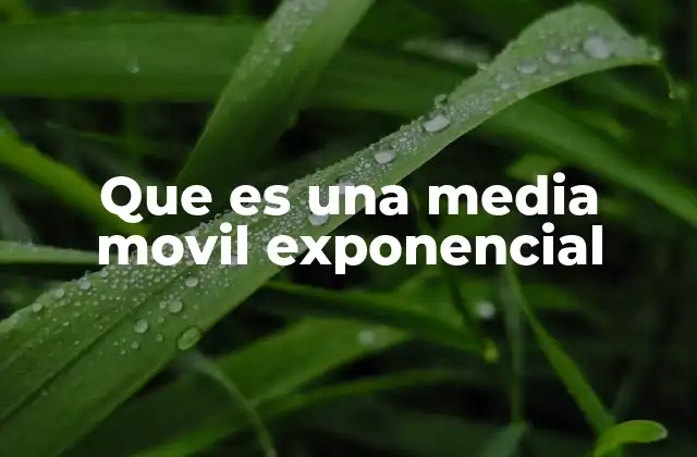 Que es una Media Movil Exponencial
