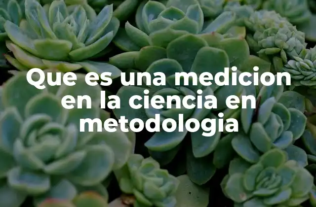 Que es una Medicion en la Ciencia en Metodologia