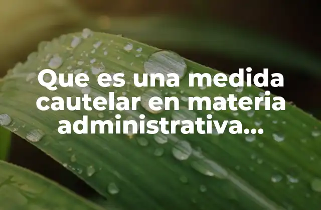 Que es una Medida Cautelar en Materia Administrativa Definición