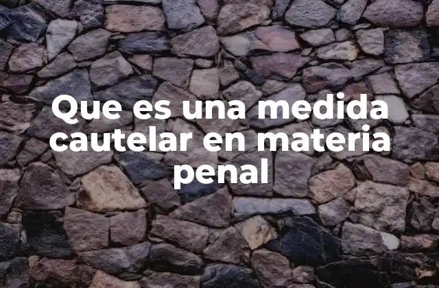 Que es una Medida Cautelar en Materia Penal
