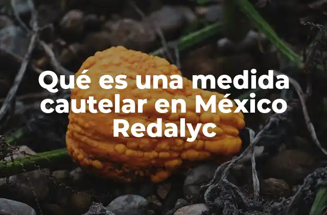 Qué es una Medida Cautelar en México Redalyc