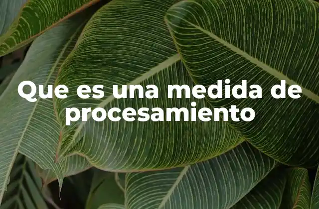 Que es una Medida de Procesamiento