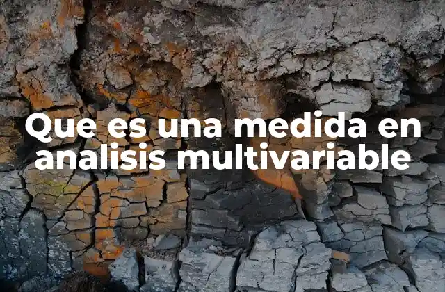 El papel de las medidas en el análisis de datos multidimensionales