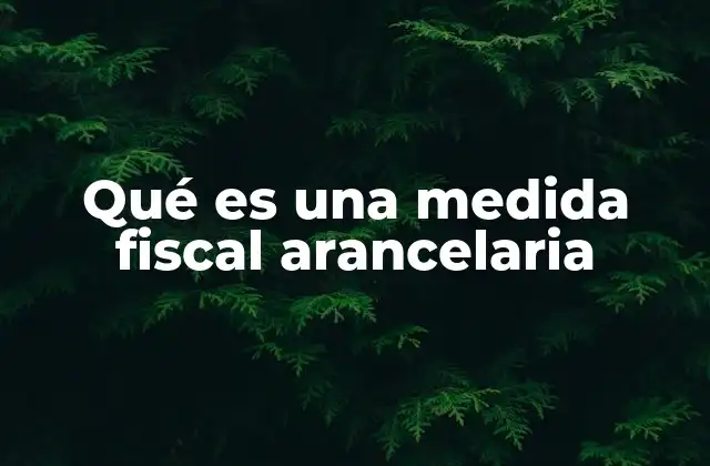 Qué es una Medida Fiscal Arancelaria