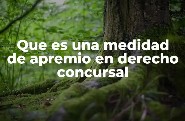 Que es una Medidad de Apremio en Derecho Concursal