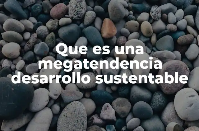 Que es una Megatendencia Desarrollo Sustentable