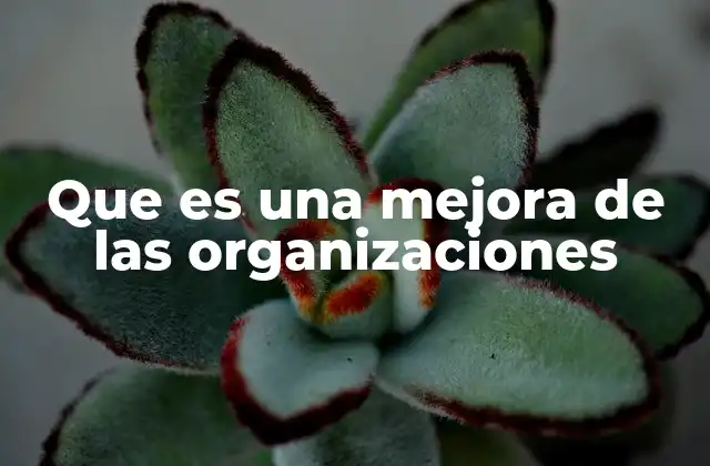 Que es una Mejora de las Organizaciones