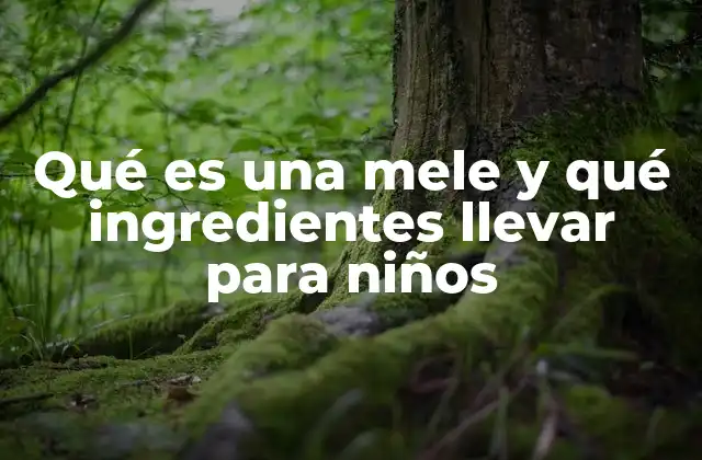 Qué es una Mele y Qué Ingredientes Llevar para Niños