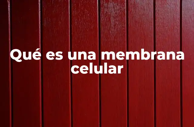 Qué es una Membrana Celular 2 La barrera viva que rodea a las células