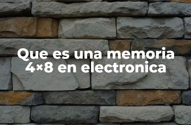 Que es una Memoria 4×8 en Electronica