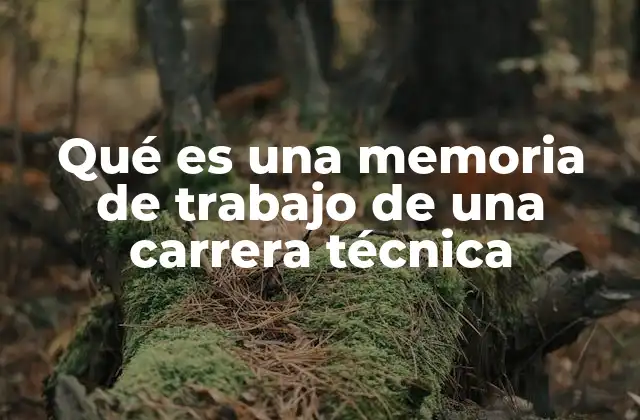 Qué es una Memoria de Trabajo de una Carrera Técnica