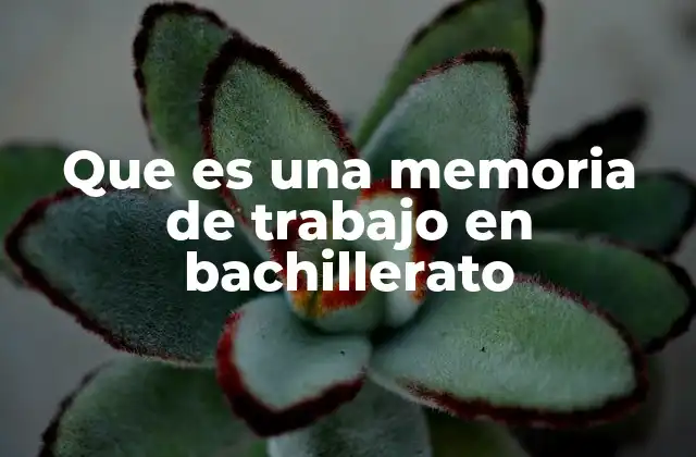 Que es una Memoria de Trabajo en Bachillerato