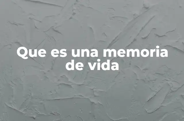 Que es una Memoria de Vida