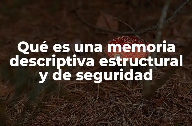 Qué es una Memoria Descriptiva Estructural y de Seguridad