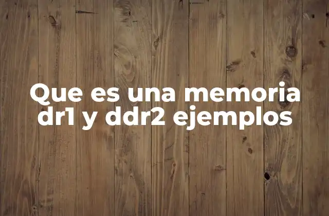 Que es una Memoria Dr1 y Ddr2 Ejemplos