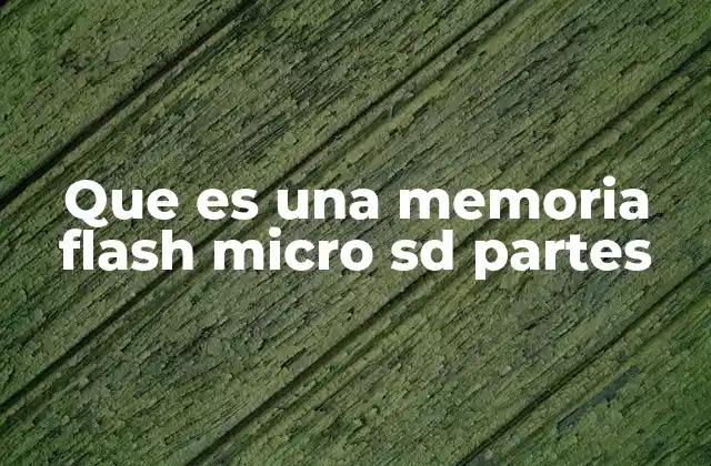 Que es una Memoria Flash Micro Sd Partes