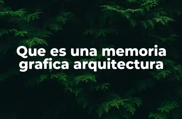 Que es una Memoria Grafica Arquitectura