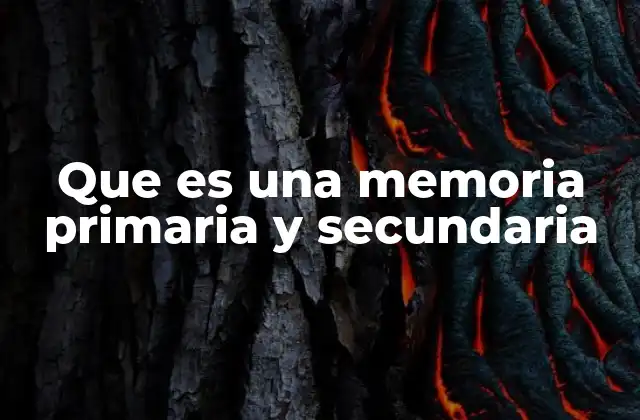 Que es una Memoria Primaria y Secundaria