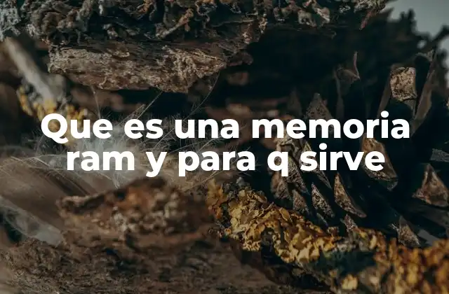 Que es una Memoria Ram y para Q Sirve