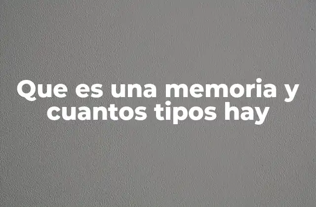 Los diferentes tipos de memoria y sus funciones en el cerebro
