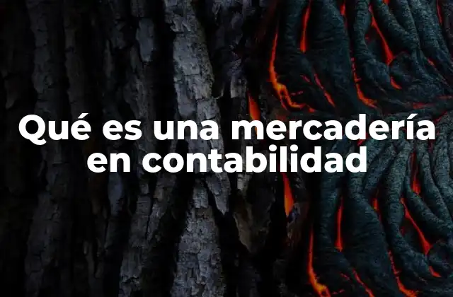 Qué es una Mercadería en Contabilidad