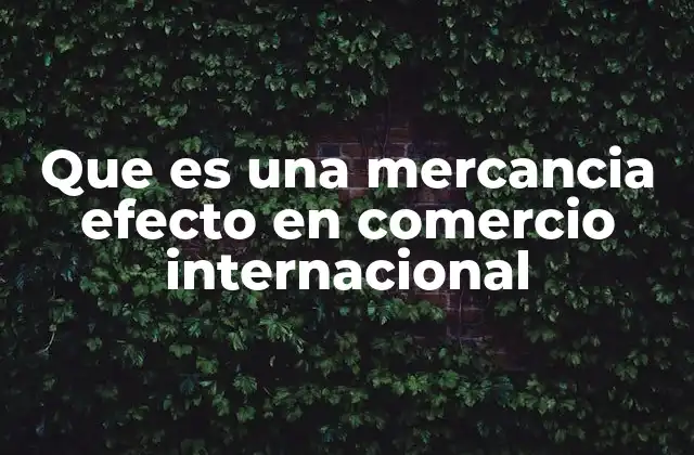 Que es una Mercancia Efecto en Comercio Internacional