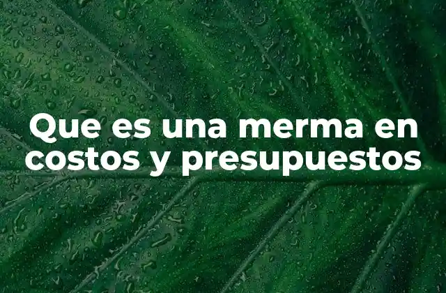 Que es una Merma en Costos y Presupuestos