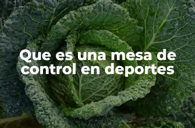 Que es una Mesa de Control en Deportes