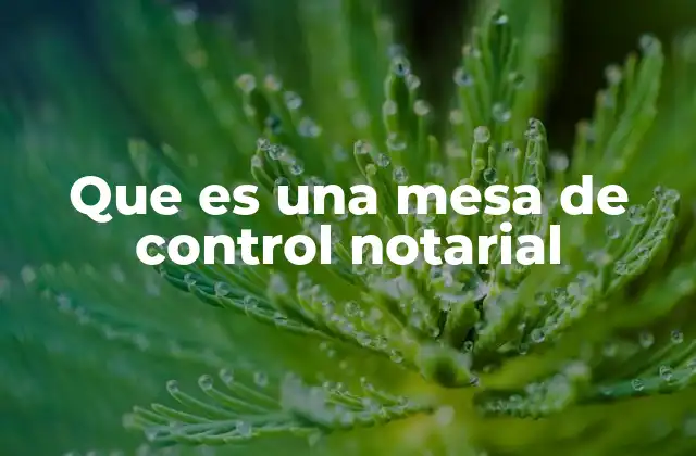 Que es una Mesa de Control Notarial