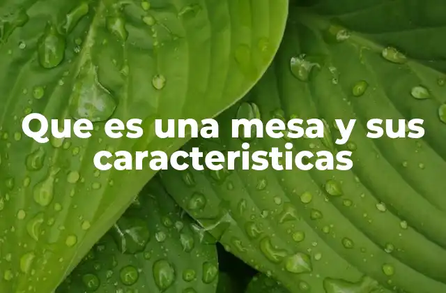 Que es una Mesa y Sus Caracteristicas