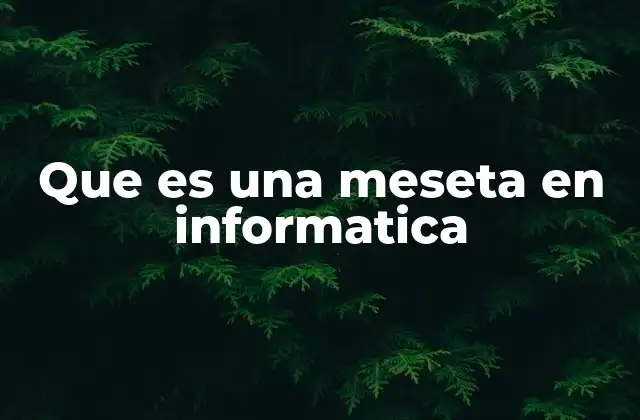Que es una Meseta en Informatica