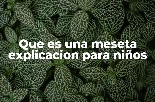 Que es una Meseta Explicacion para Niños