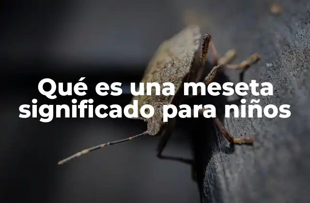 Qué es una Meseta Significado para Niños